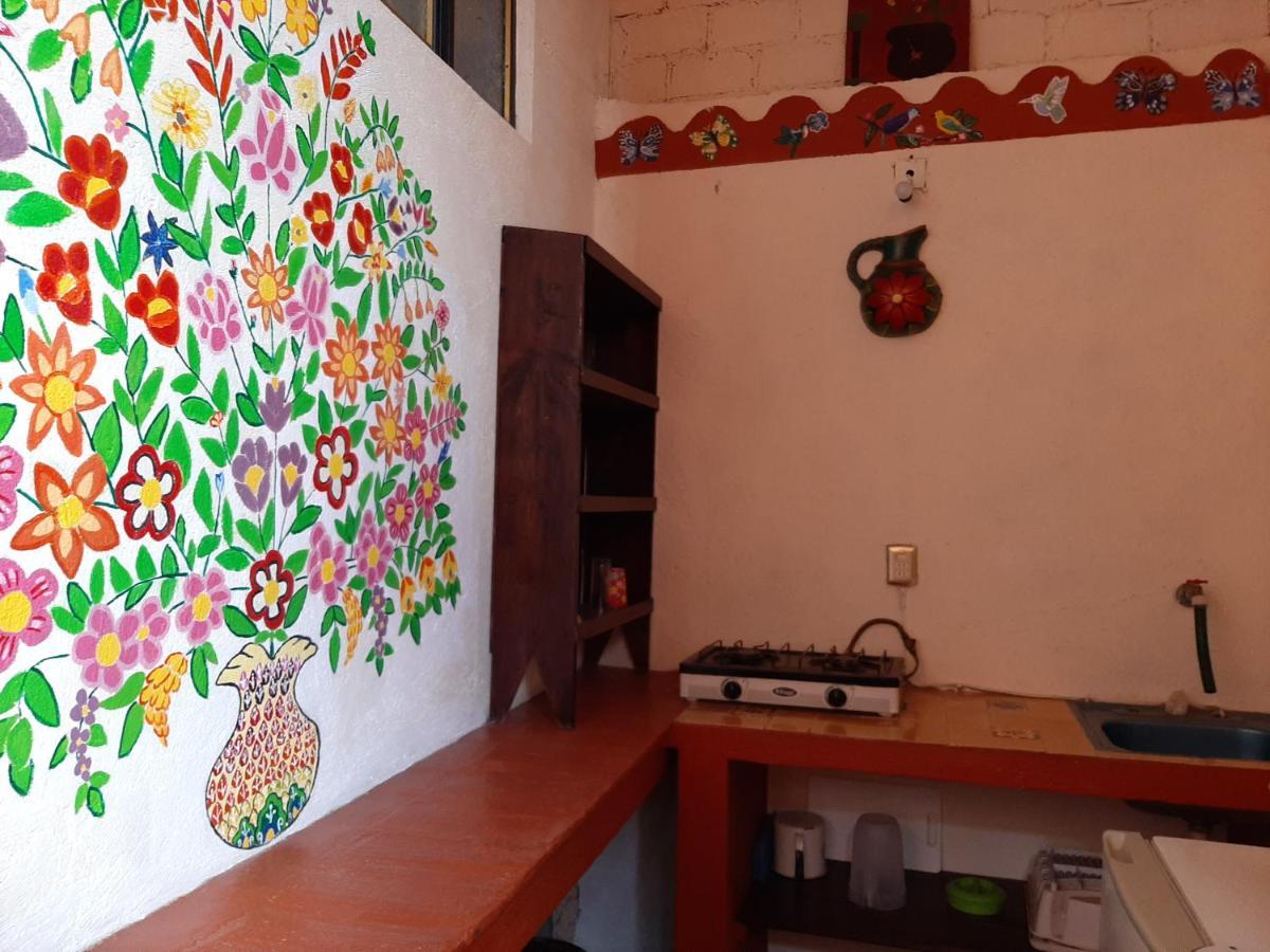 오아하카주 Casa Xochimilco 아파트 외부 사진